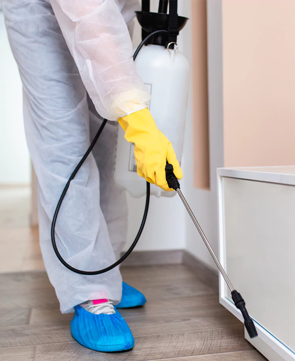 rodent-droppings-cleanup-services2