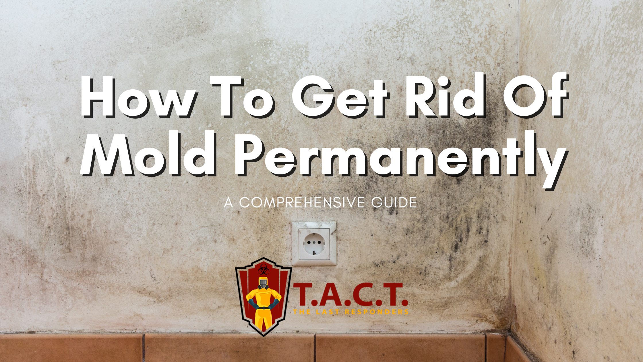 How To Get Rid Of Mold For Good