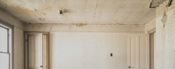 Mold Removal & Mold Remediation Services in North Atlanta