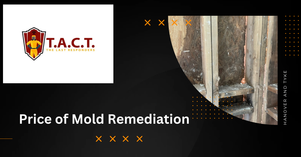 Price of Mold