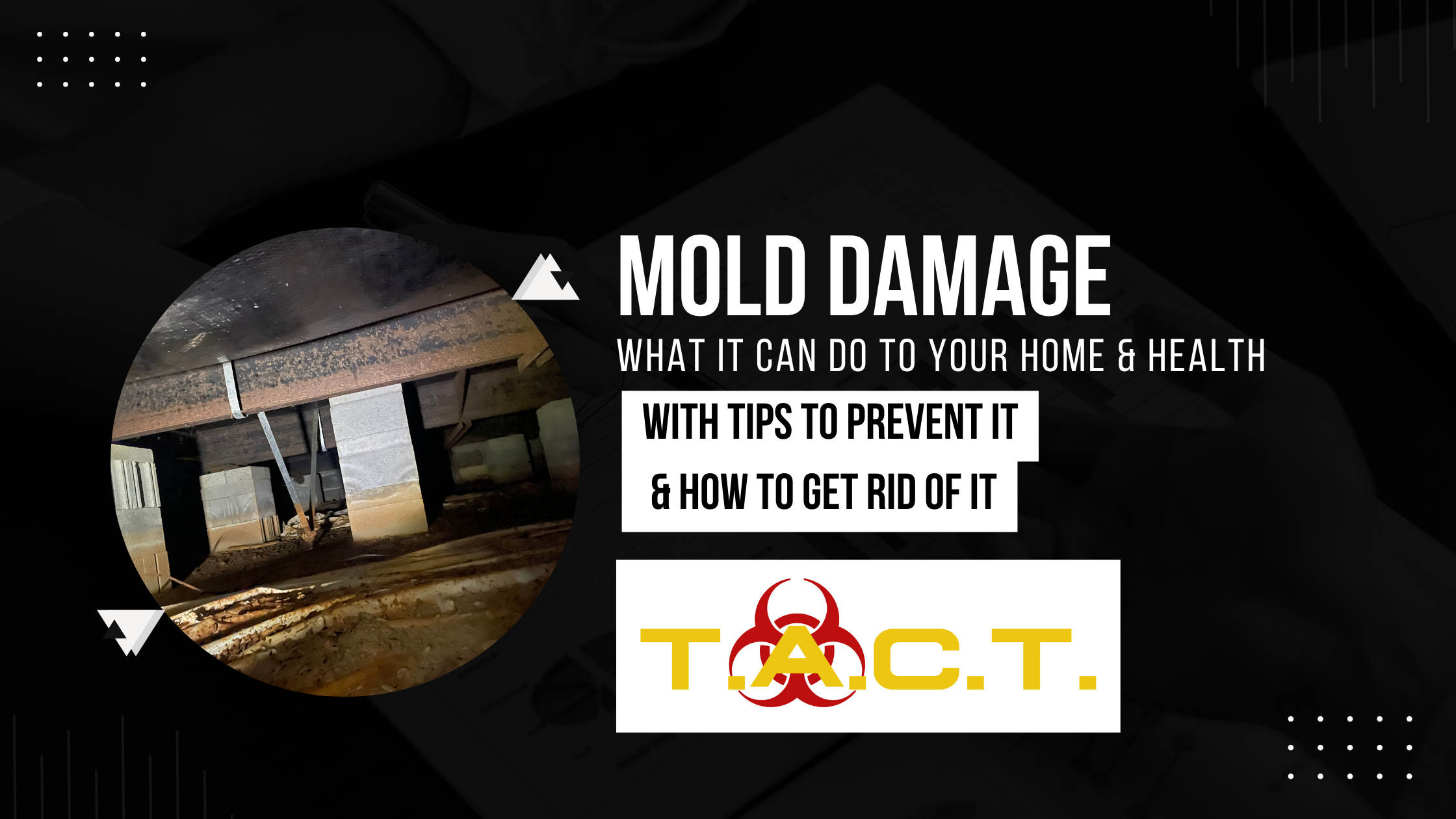 The Damage That Mold Can Cause Is Impressive