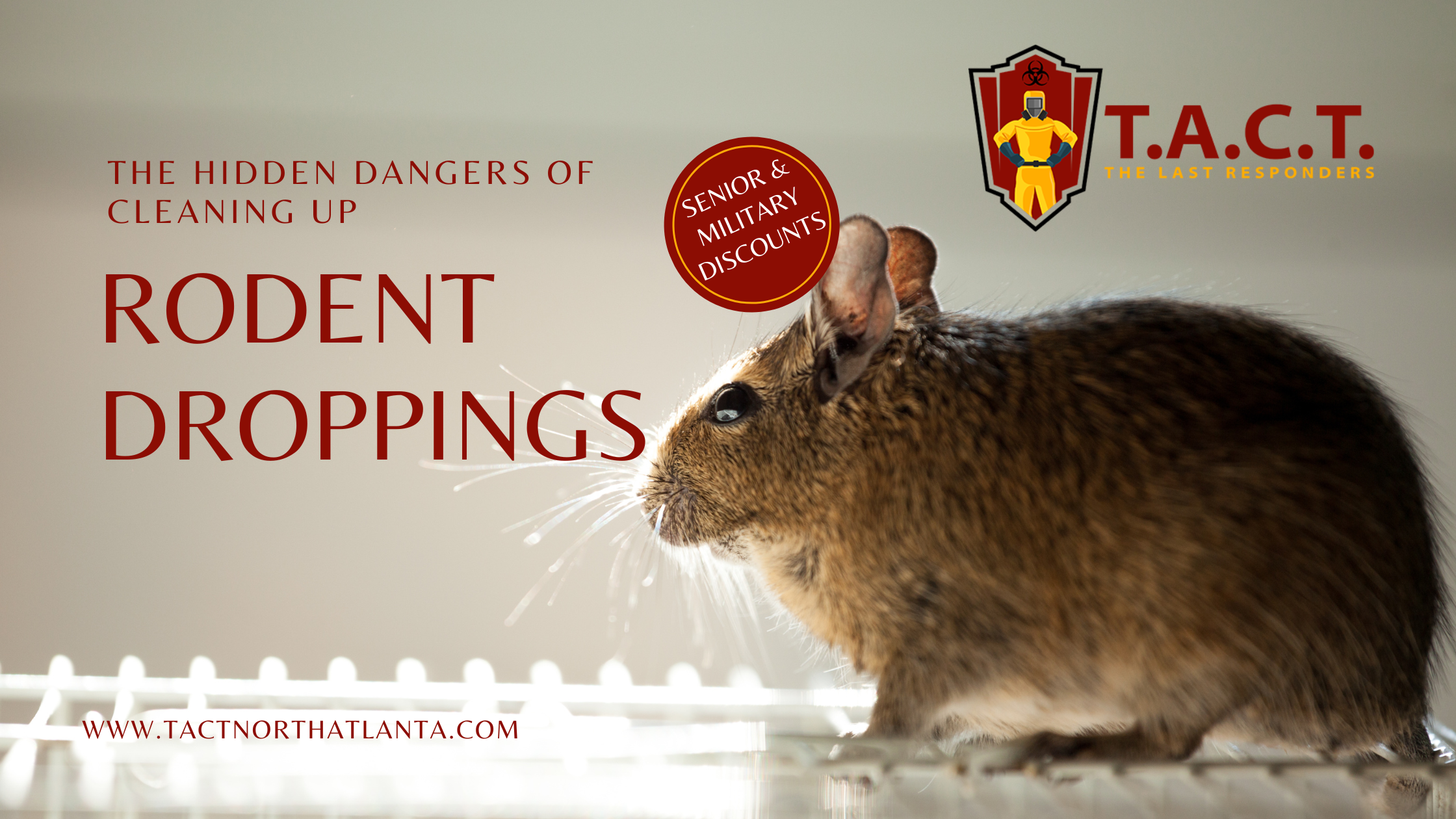 The Hidden Dangers of Cleaning Up Rodent Droppings Yourself: Trust T.A.C.T. North Atlanta for Safe Biohazard Remediation