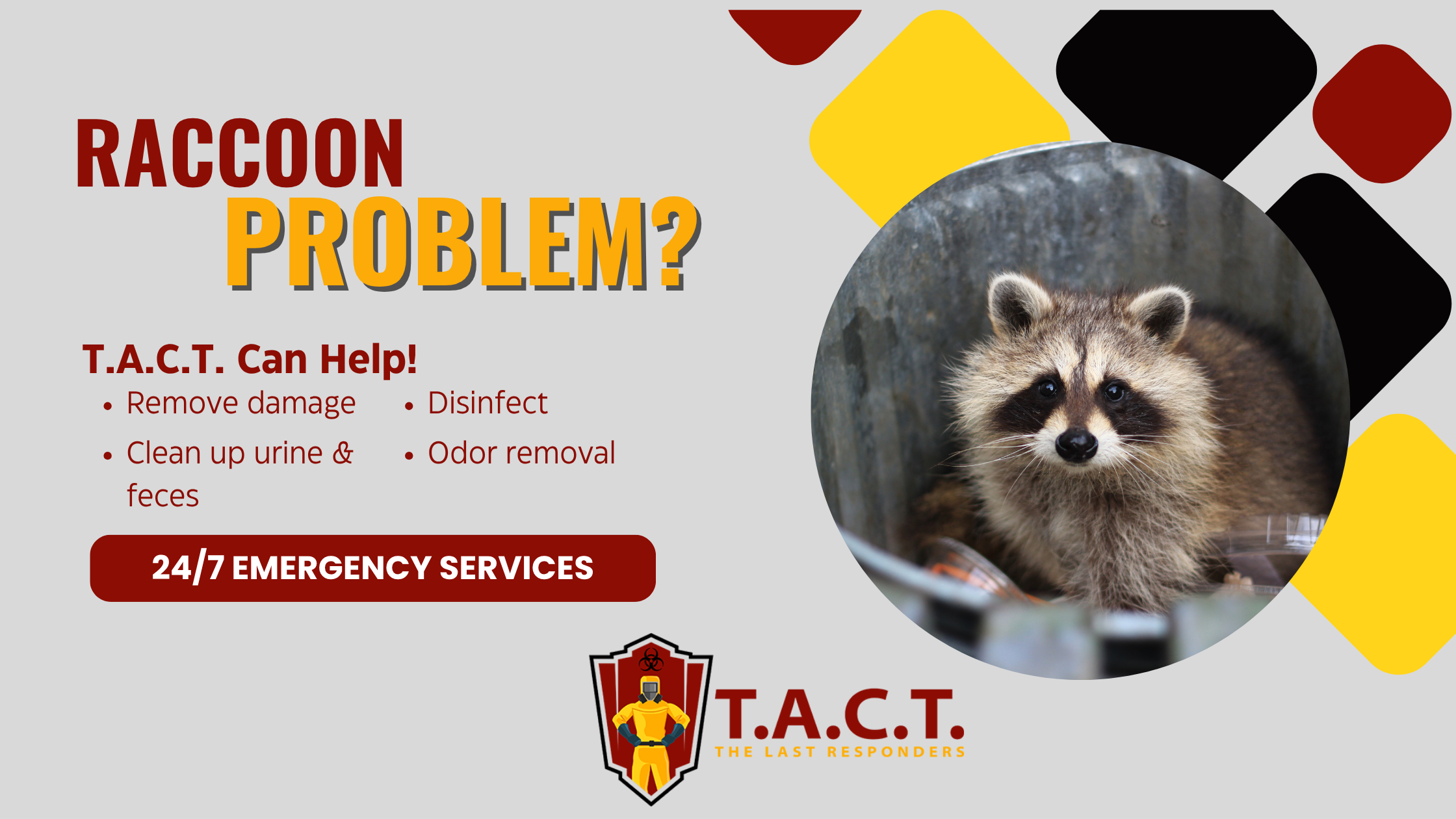 When Raccoons Invade: